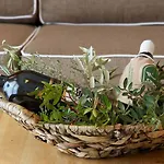 Apartment G.living 365
